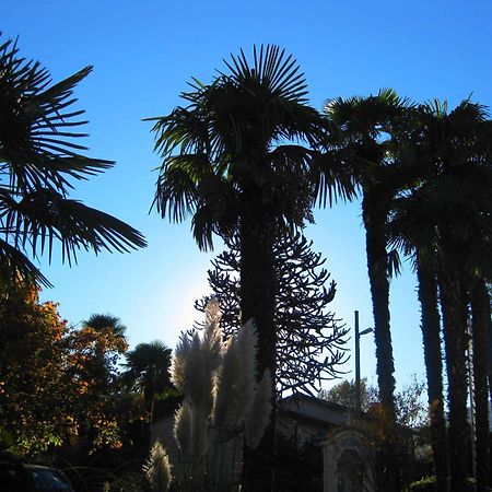 Villa Garni Gardenia Caslano Dış mekan fotoğraf